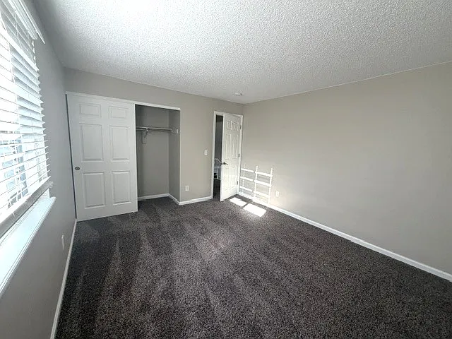 8451 Gambel Oak Ct — Photo 7