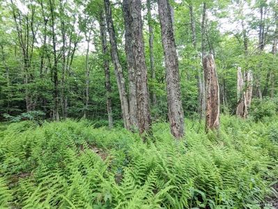 5 Rose Bud Ln #39, Camden, NY, 13316
