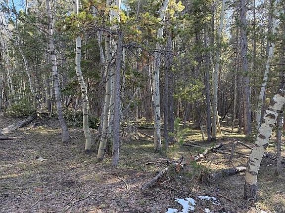 4th image of 6.44 Acres Trail Rd