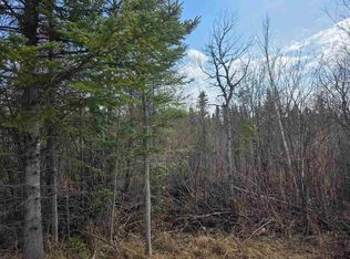 5191 Onaway Rd, Indian River, MI 49749