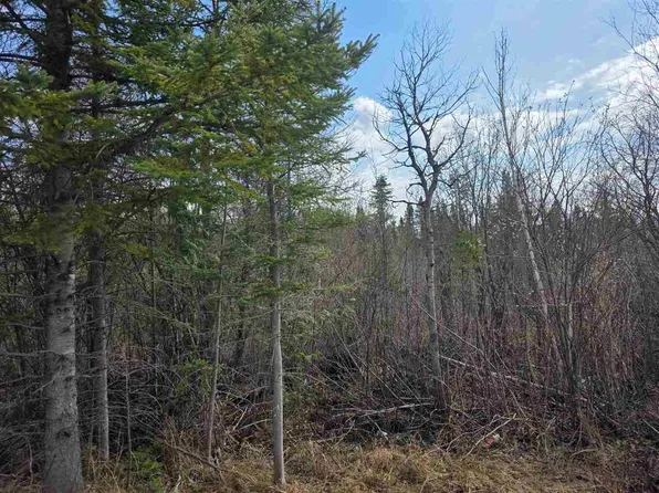 5191 Onaway Rd, Indian River, MI 49749
