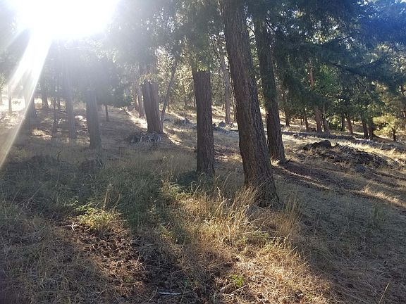 3rd image of Nka Ponderosa Dr