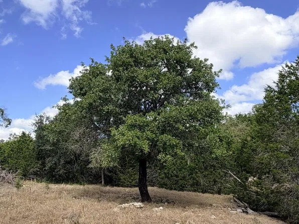 0 Vanguard Ridge Rd, Fredericksburg, TX 78624