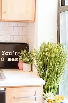 Rented by Compass | media 15