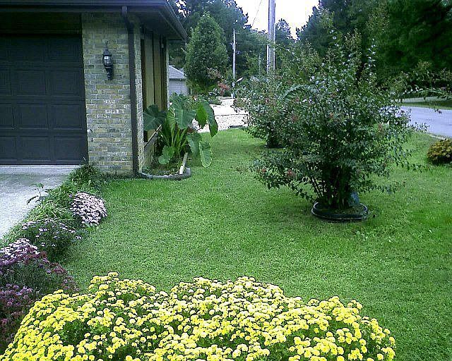Exterior Landscape