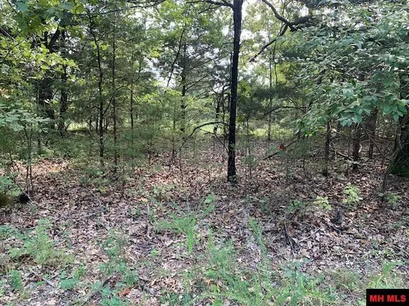 225-00004-00 Mc #133, Oakland, AR 72661