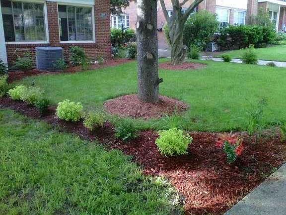 Front Lawn