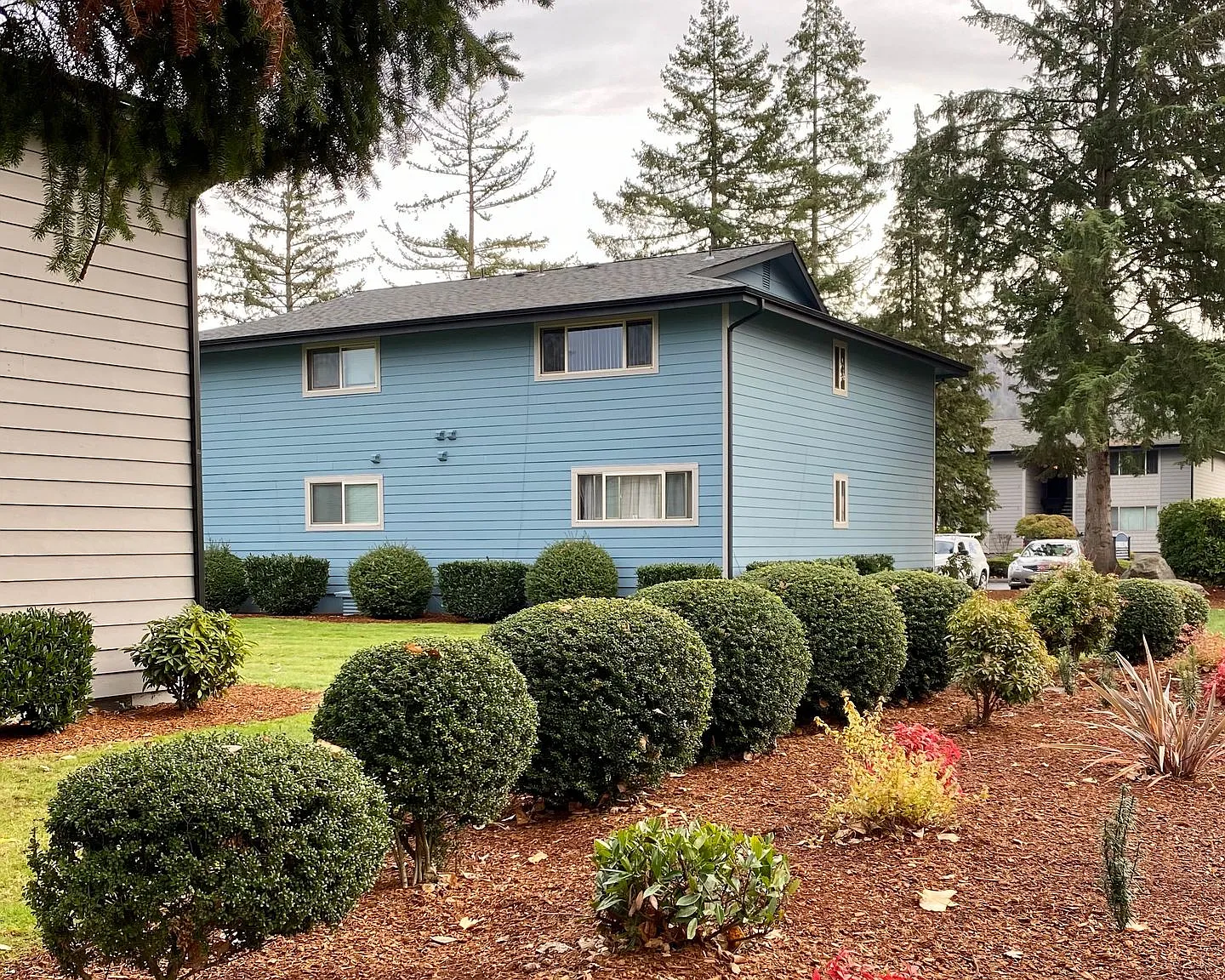 Timberlane Apartments — Photo 3