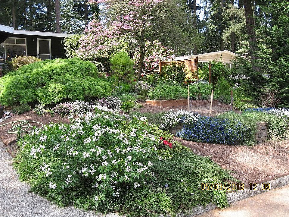 Front Yard 1
