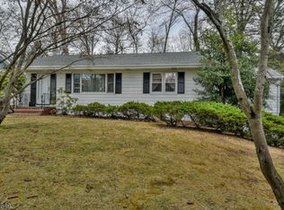 132 Birchwood Ter, Wayne, NJ 07470