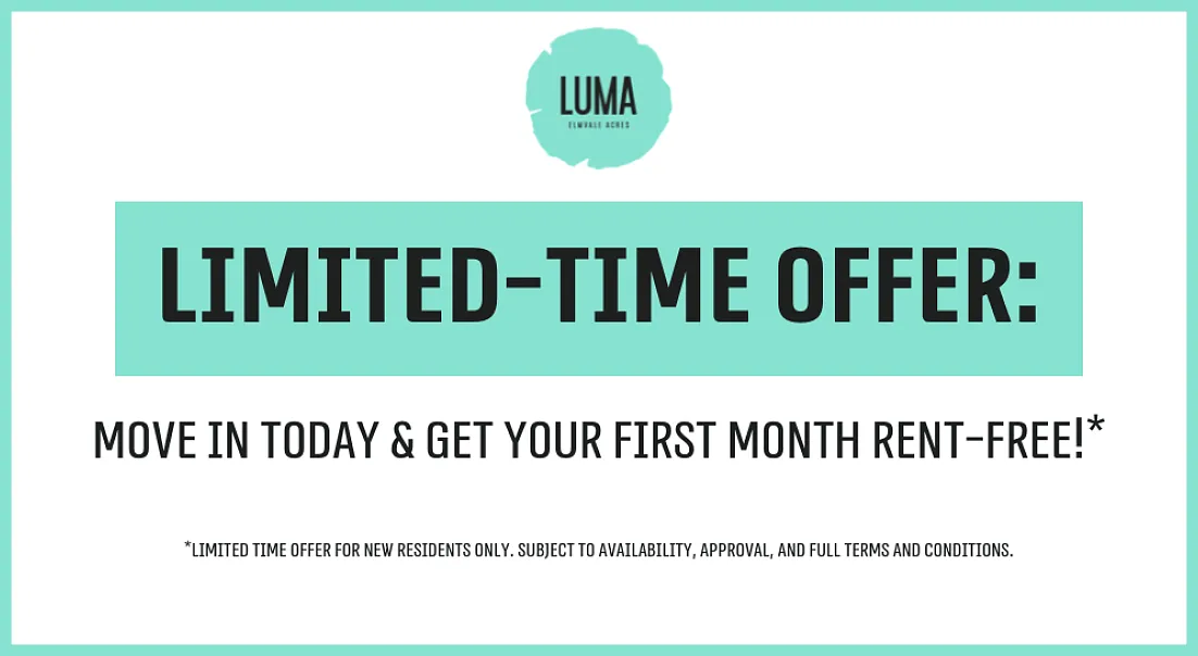 Luma — Photo 3