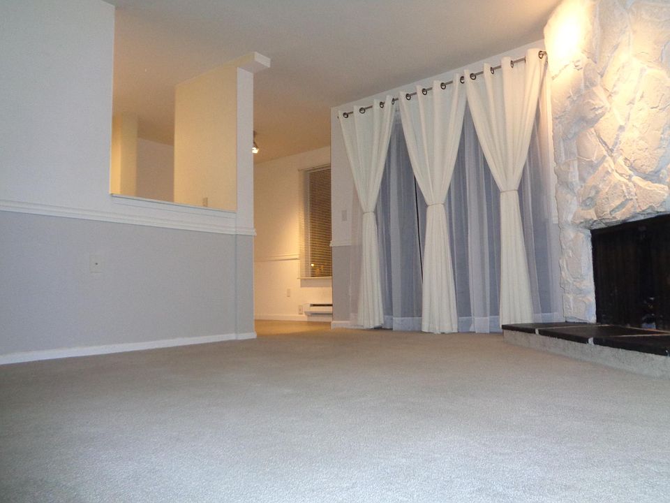Living room with fireplace, patio door, new curtains
