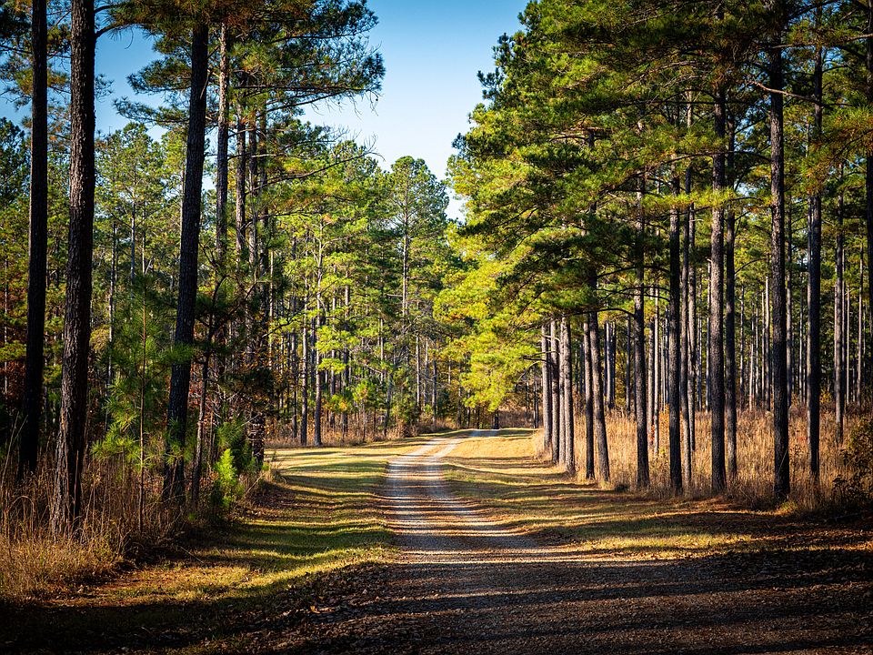 37th image of this home