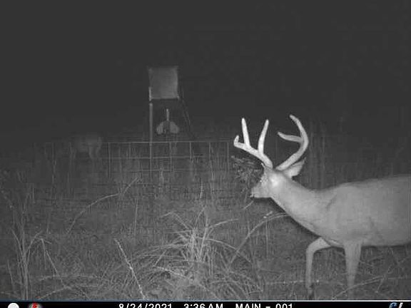 5th image of 10802 County Road 3819