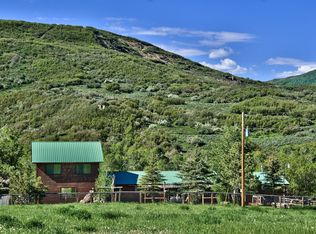 68423 E Highway 330, Collbran, CO 81624