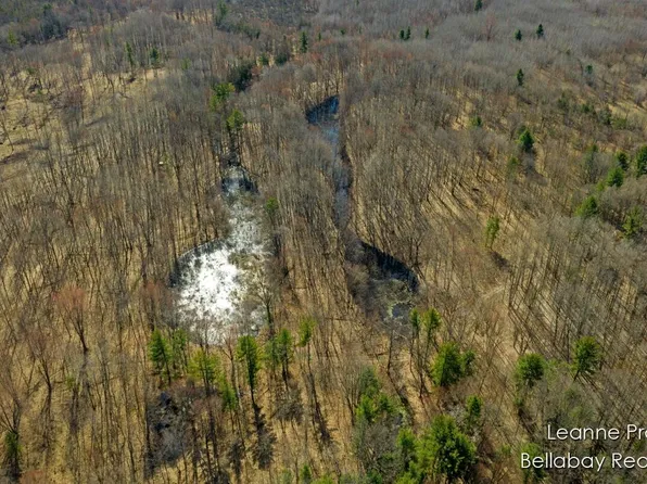 Vl W Weidman Rd, Weidman, MI 48893