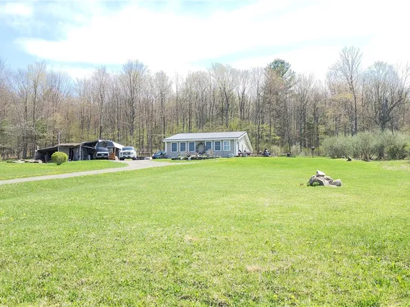 665 Crumtown Rd, Spencer, NY 14883