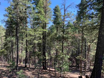 79 Lodge Spring Rd, Cloudcroft NM - Owner Finance Home