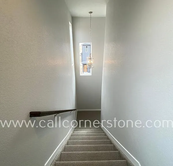 8767 Zeal Ct — Photo 12
