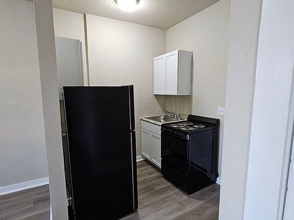 4th image of 102 E Robinson St #207