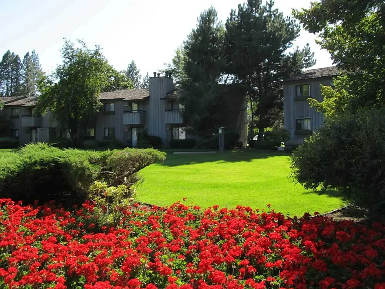 Lake Villa Apartments — Photo 12
