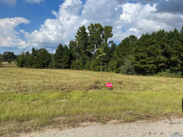 6 County Road 2204d & Dm #1797, Tatum, TX 75691