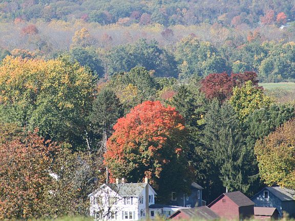 View from top of property