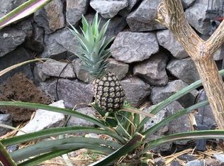 68-1771 Lauia Pl, Waikoloa, HI 96738