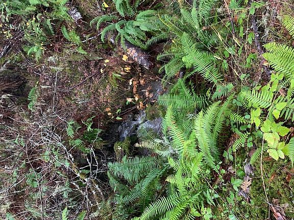 4th image of ?40 Acres Little Larabee Creek None
