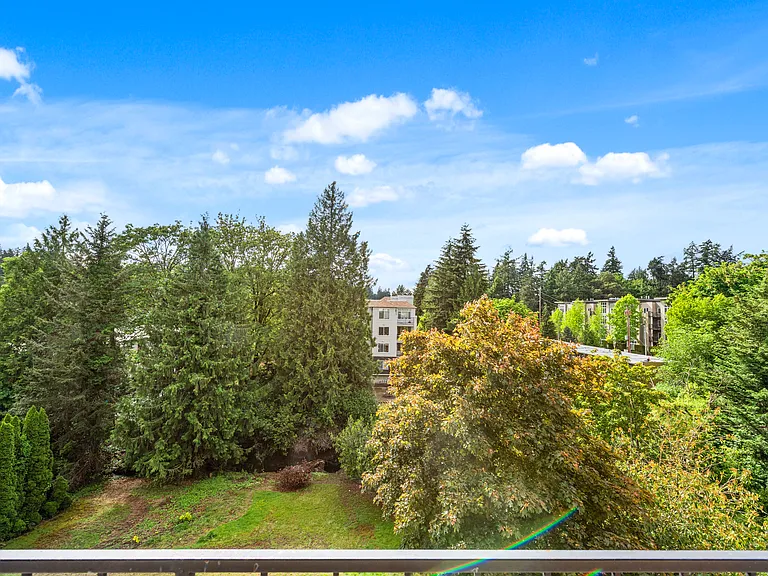 321 Bellevue Way SE #403 — Photo 19