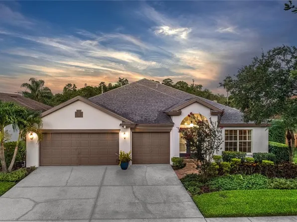10231 Millport Dr, Tampa, FL 33626