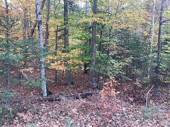 3rd image of Tbd Deer Lane Rd