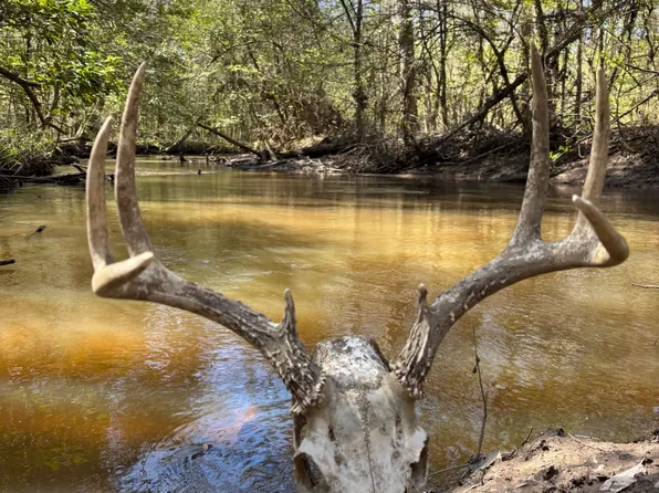 Avera Rd, Roberta, GA 31078