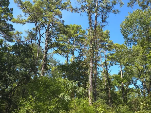Cove Dr Lot 5, Pointblank, TX 77364