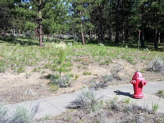 Fire Hydrant & Side walk