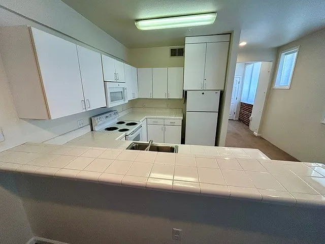 161 W Santa Clara St #203 — Photo 4