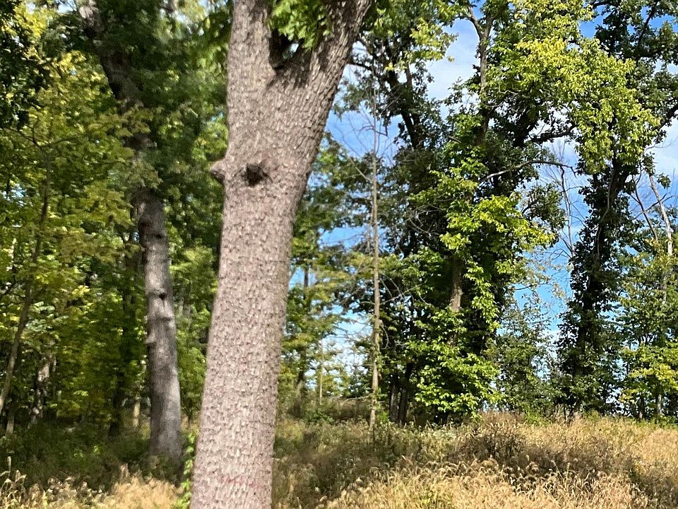 1st image of Twin Bluff Ln