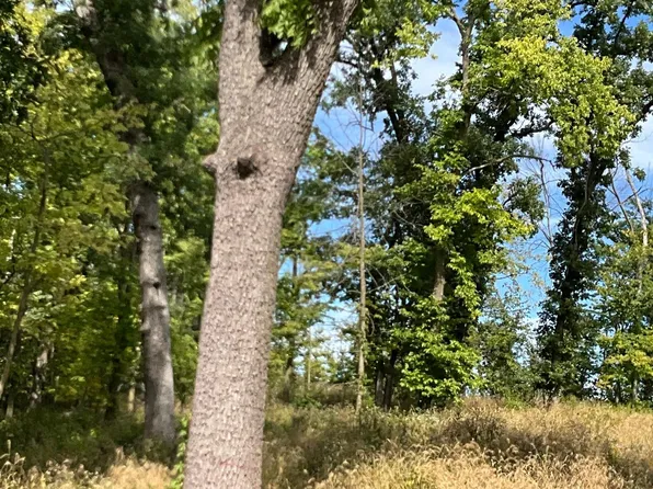 Twin Bluff Ln, Stockholm, WI 54769