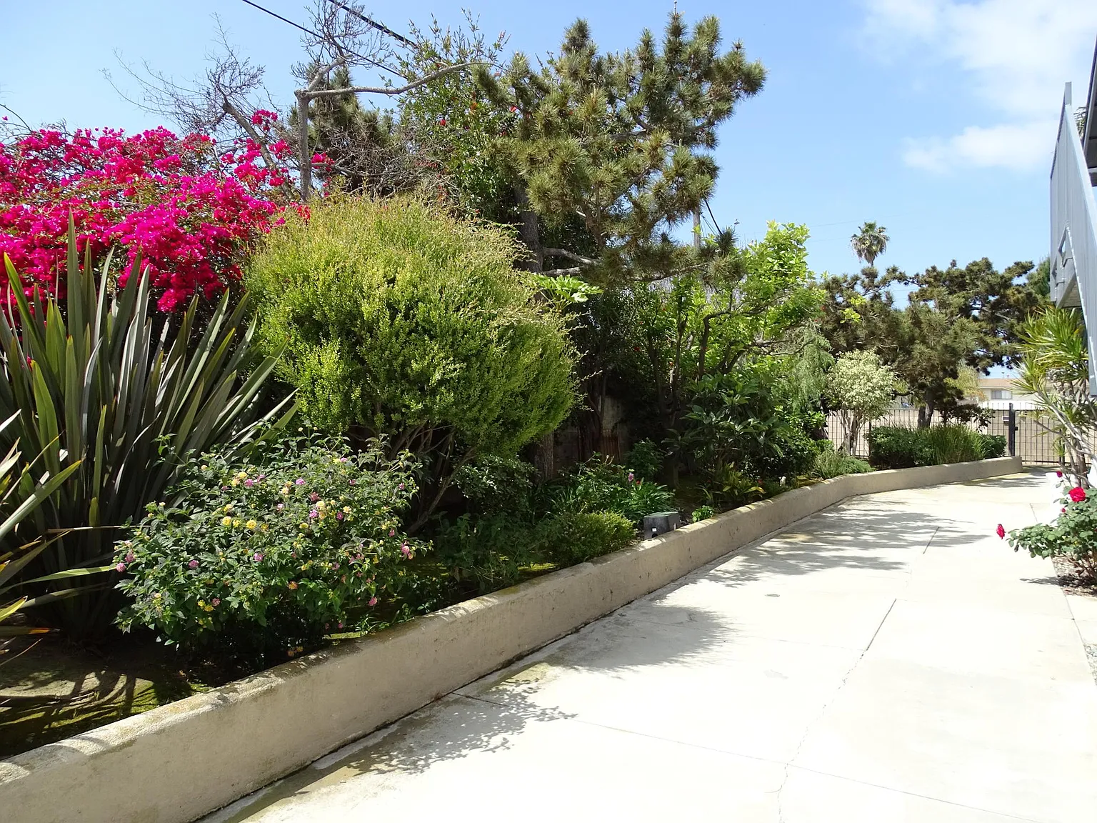 Pomona Ave, Costa Mesa — Photo 4