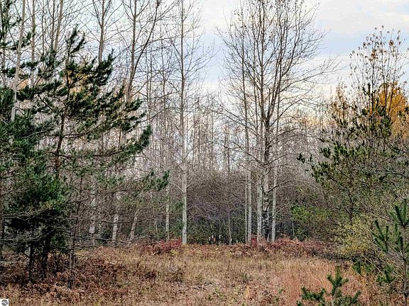 5th image of N A Mackinaw Rd