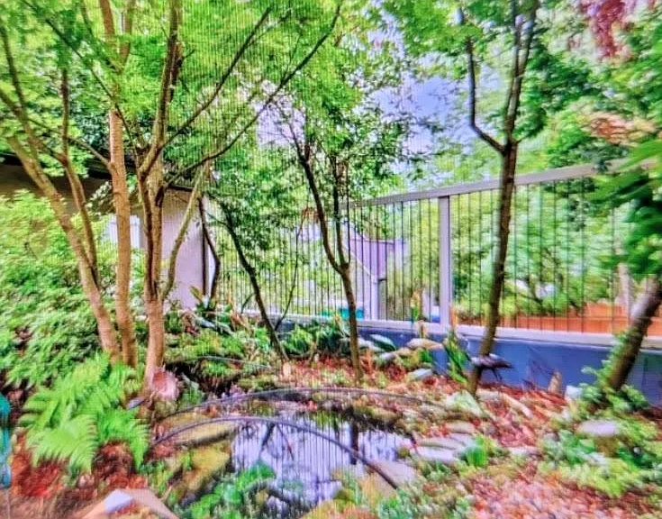 Koi Pond =