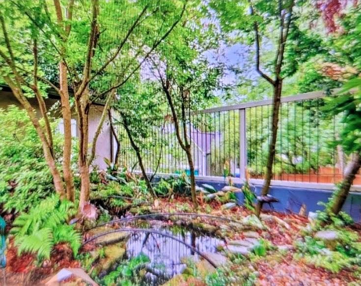 Koi Pond =