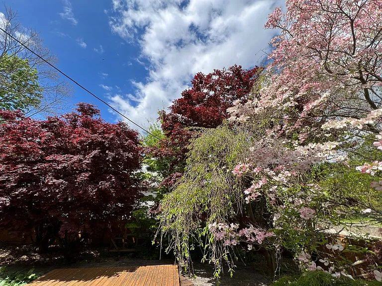 25 W Warwick Ave — Photo 14