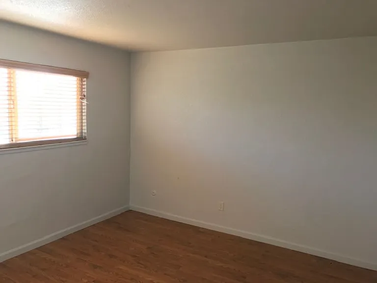 10087 Nebula Way — Photo 6