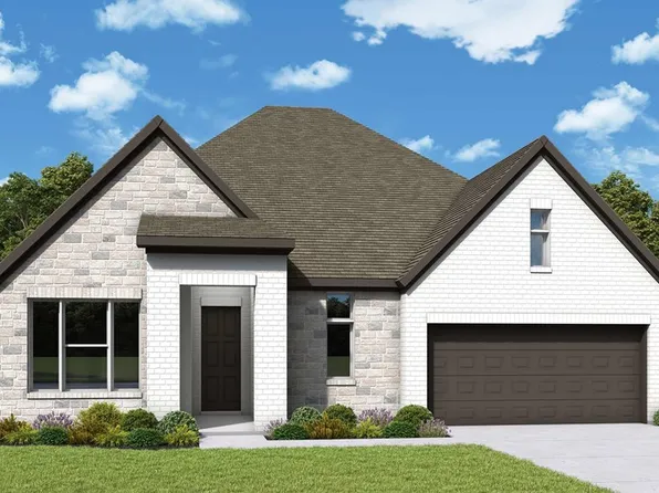 Chamomile Plan, Audubon - Vision Collection