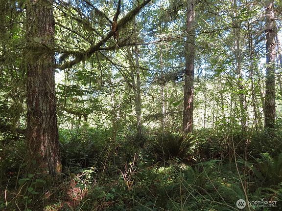 5th image of 0 Salmon Creek Road