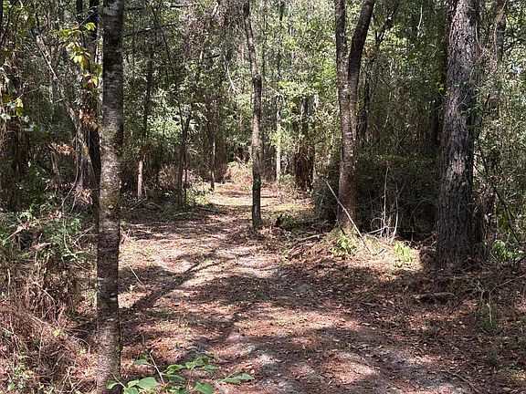 4th image of 0 Reedy Creek Rd