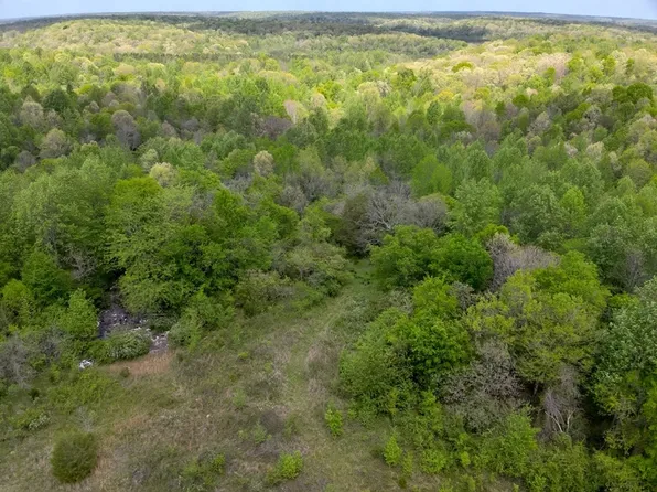 County Road 298, Florence, AL 35634