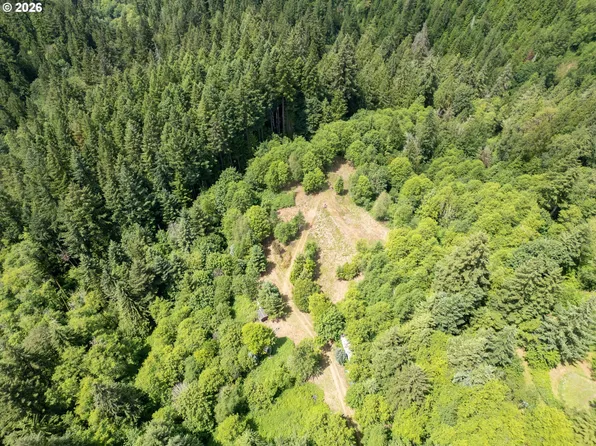 40149 SE Kitzmiller Rd, Eagle Creek, OR 97022