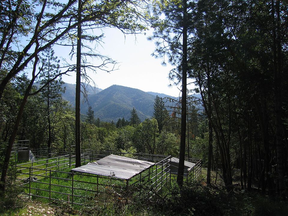 Animal pen by Home